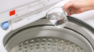 Read more about the article Bảo dưỡng – vệ sinh máy giặt chuyên nghiệp tại nhà