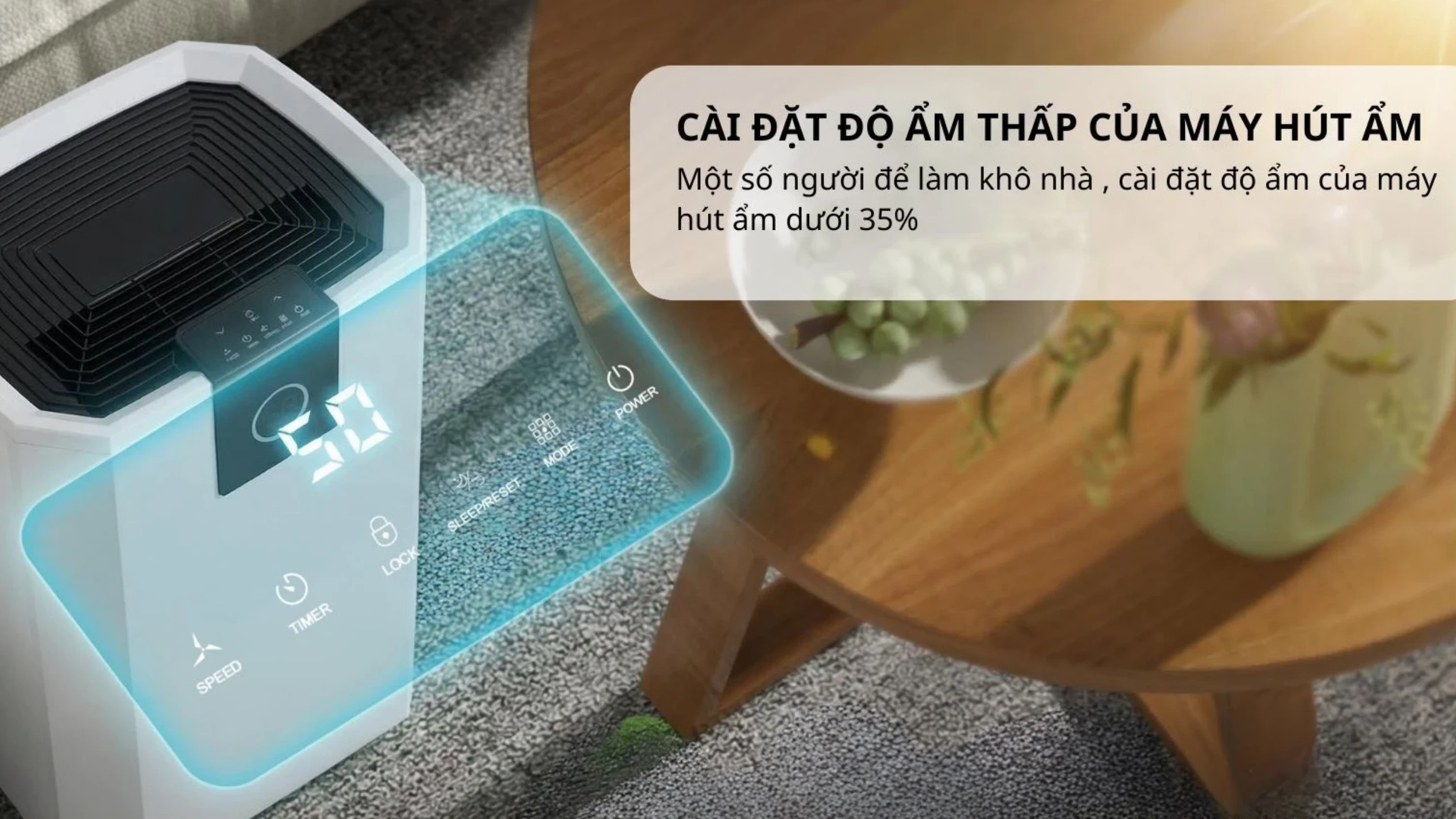 lắp đặt máy hút ẩm