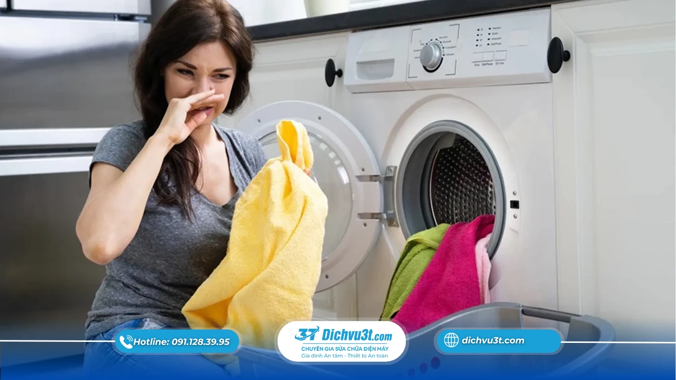 Lý do dùng máy sấy mà quần áo không thơm?