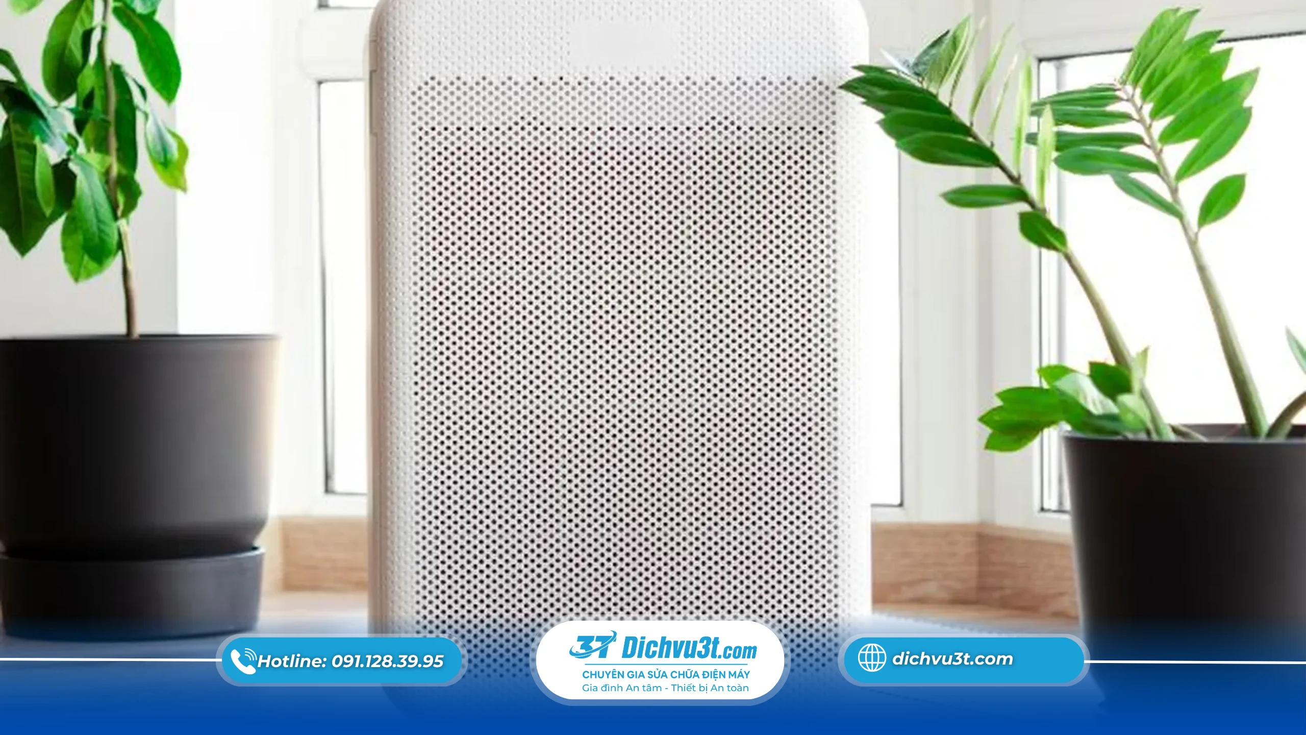 Mẹo từ Dichvu3t.com khi thay màng lọc máy lọc không khí