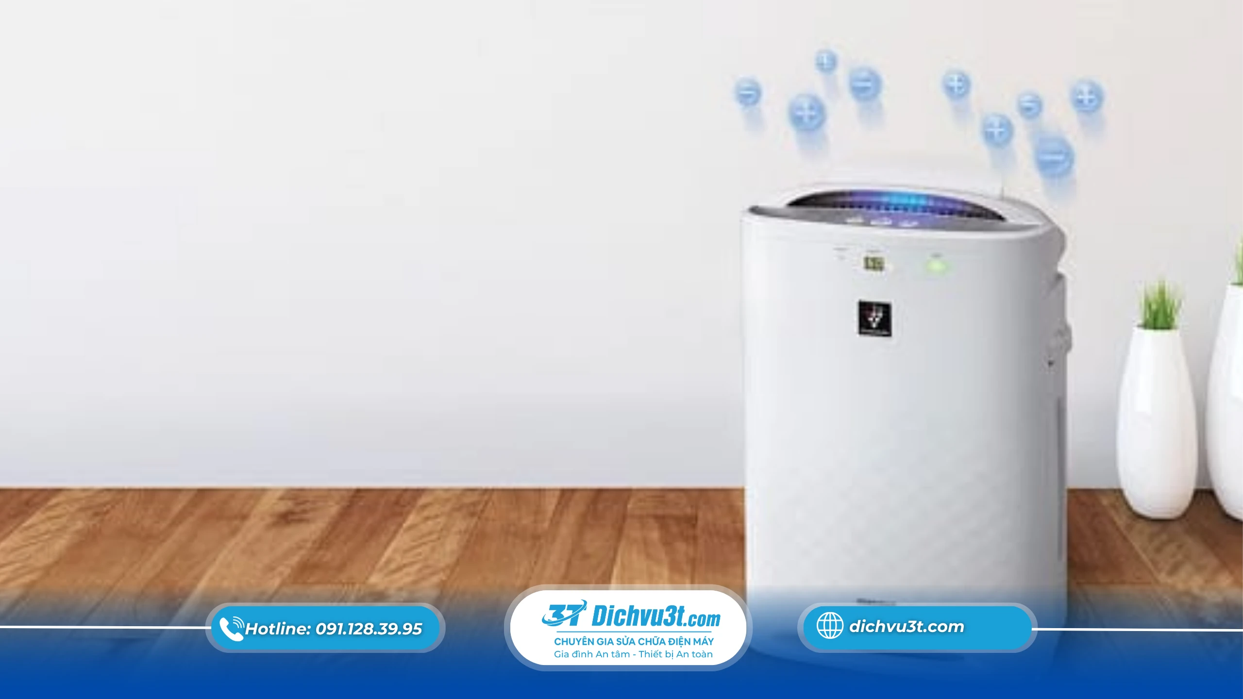 Có nên dùng máy hút ẩm vào mùa hè không – Câu trả lời chính xác