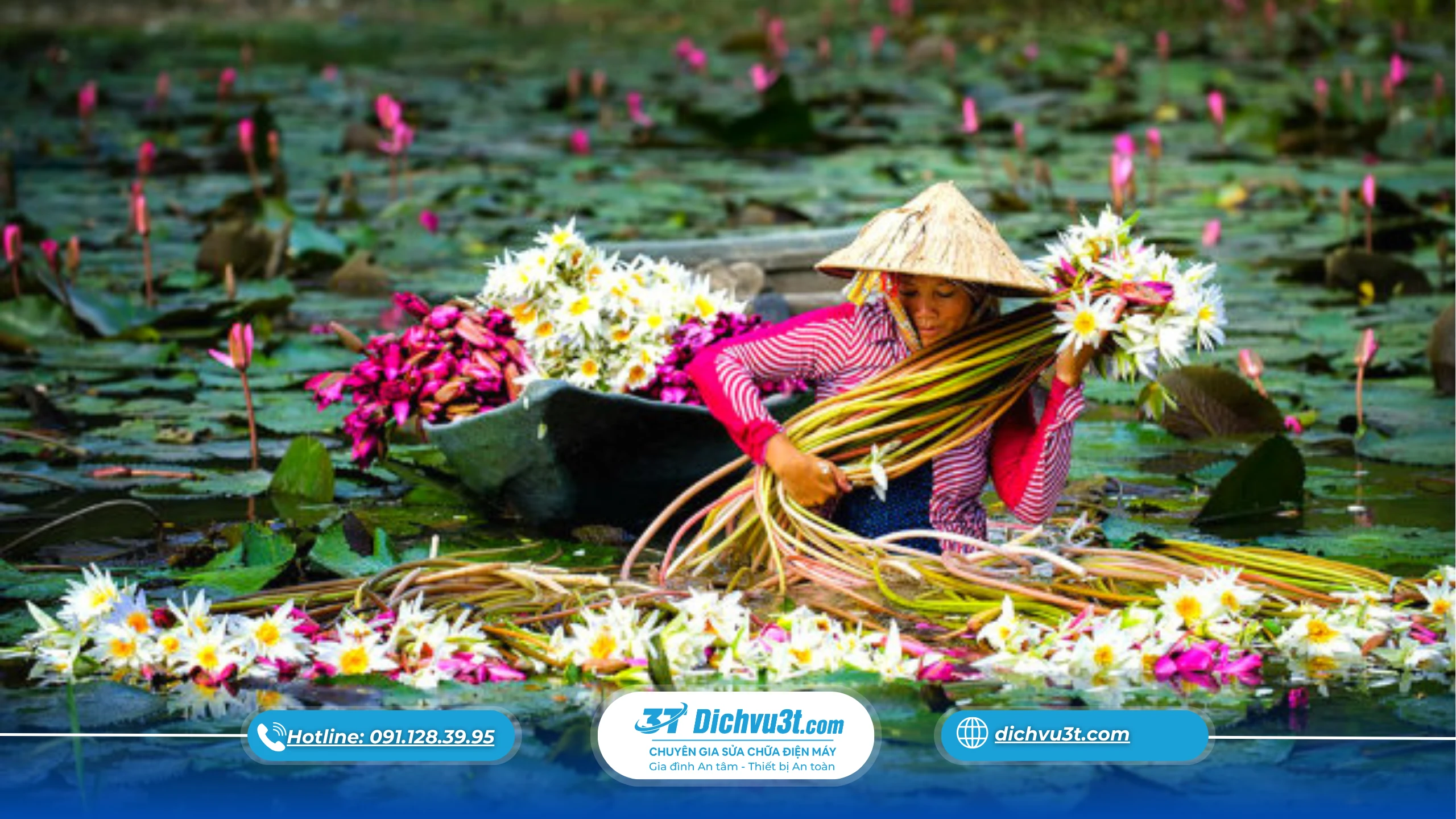 máy lọc nước tại miền Tây, lắp đặt máy lọc nước, nước sinh hoạt miền Tây, Dịch Vụ 3T

