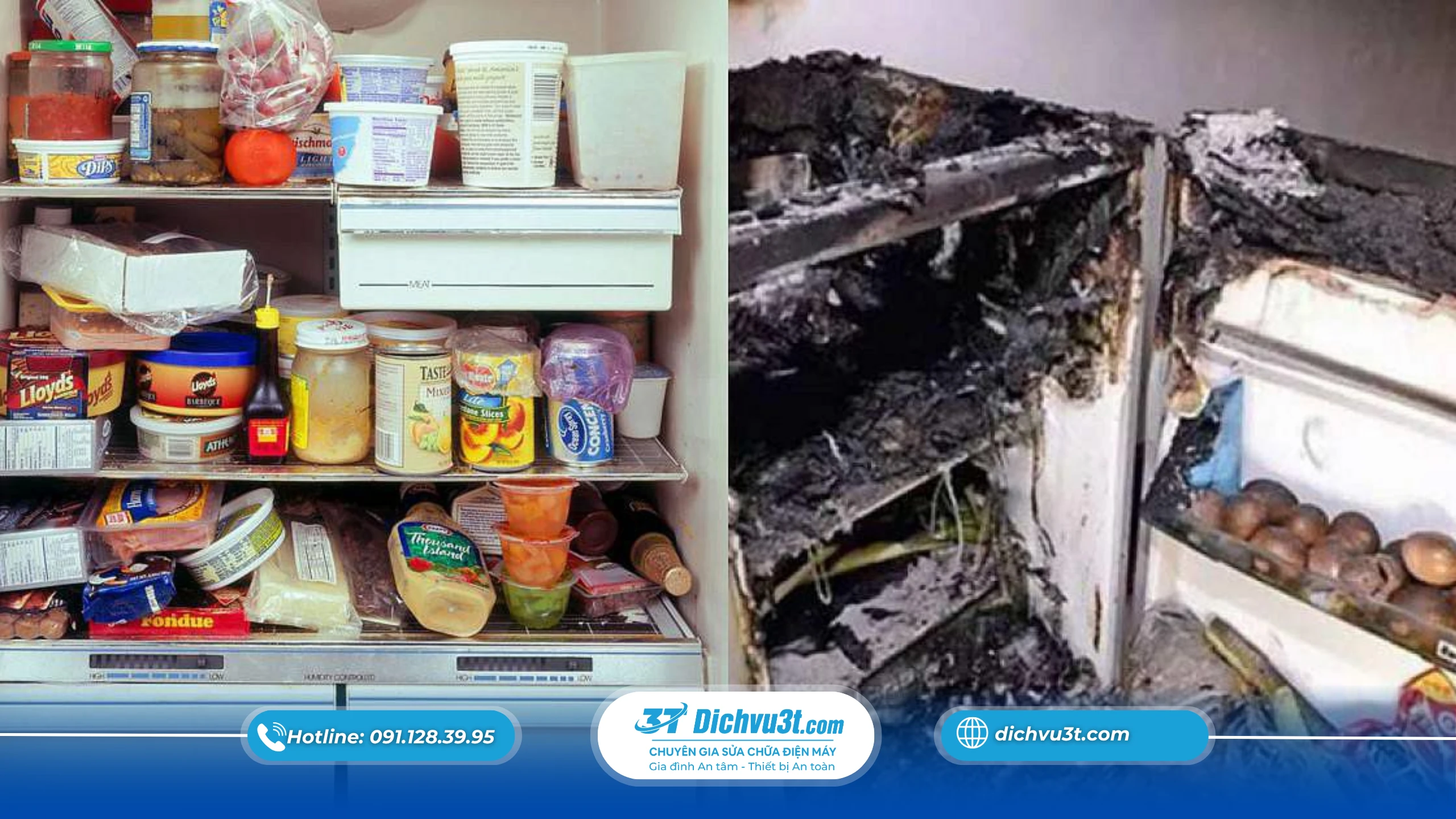 Đừng dại cho đồ nóng vào tủ lạnh – hậu quả bạn không ngờ!