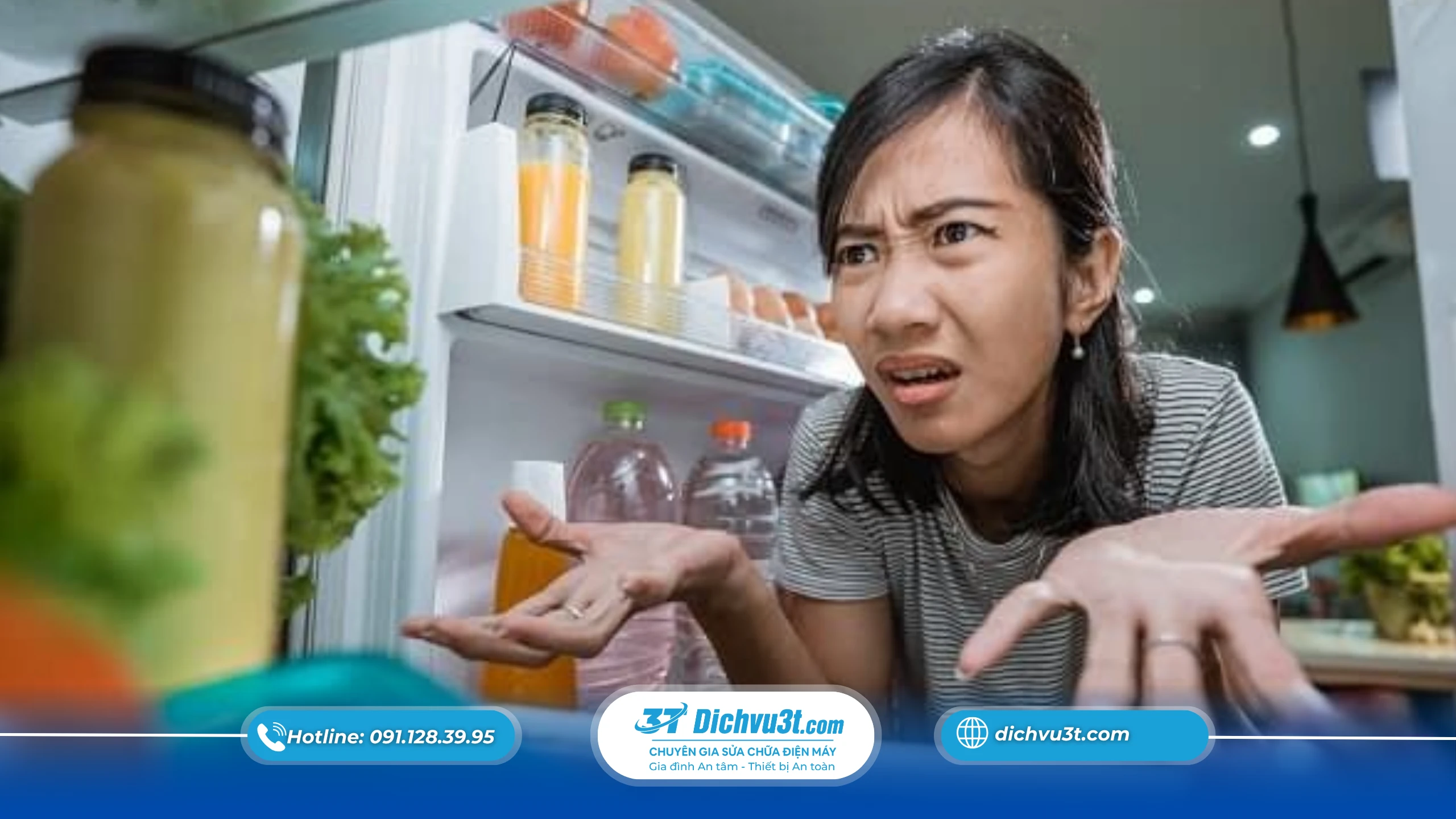 So sánh hiệu suất tủ lạnh mùa hè và mùa đông chi tiết